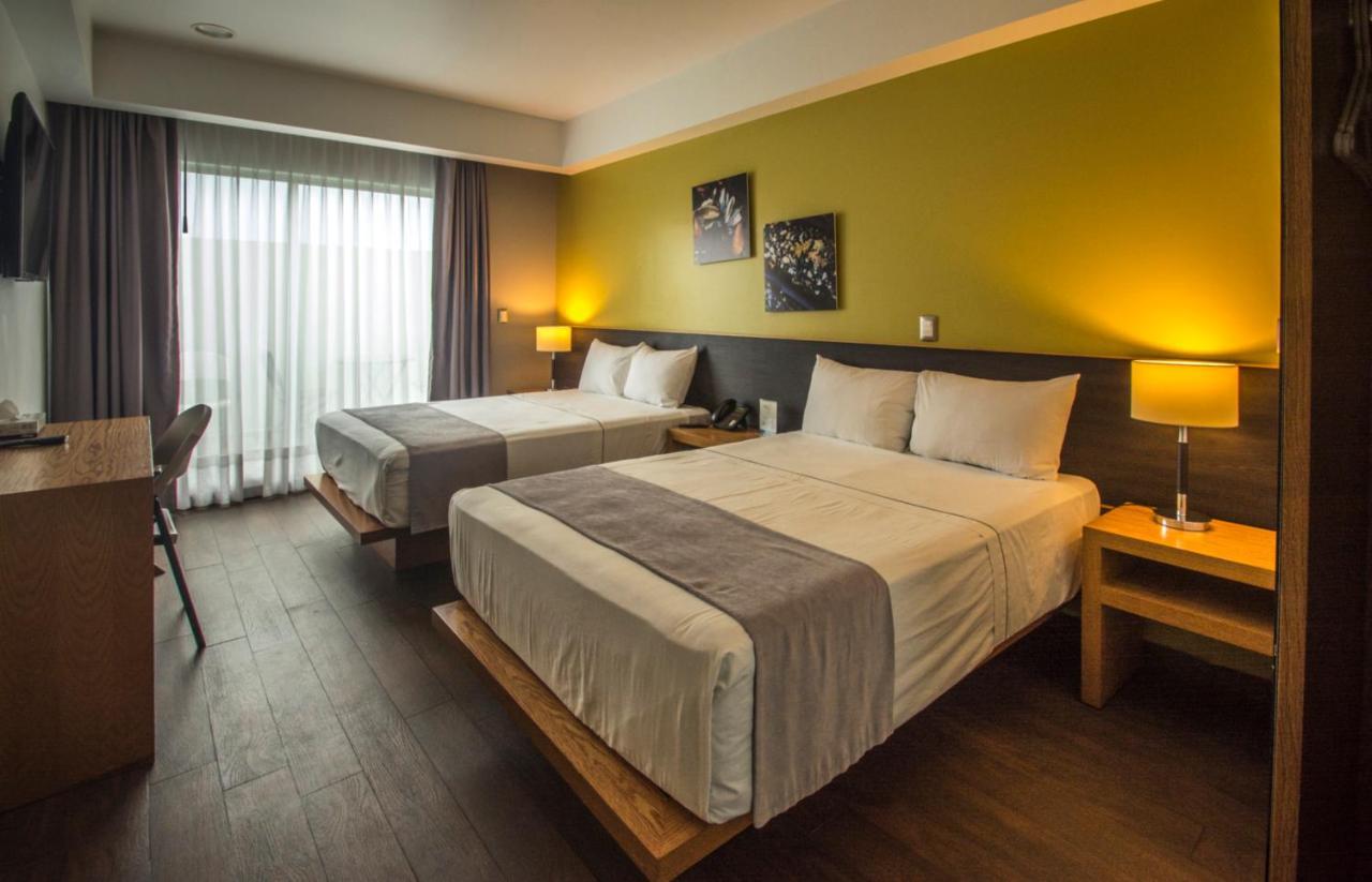 Concept 4* Zamora (MX)